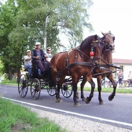Bauernhaushaelfte Ueber Zwei Etagen Mit Garten, In Ruhiger Lage * Horka