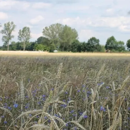 펜션 Bauernhaushaelfte Ueber Zwei Etagen Mit Garten, In Ruhiger Lage